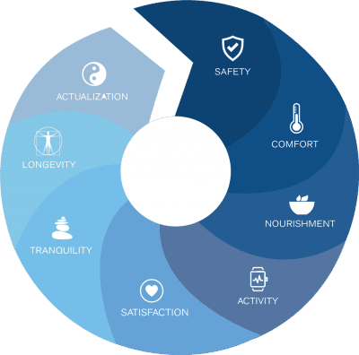 Realwell Wellness Wheel